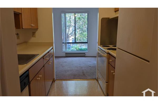 1 Bedroom Apartment 1547 Pacific Ave in Santa Cruz CA