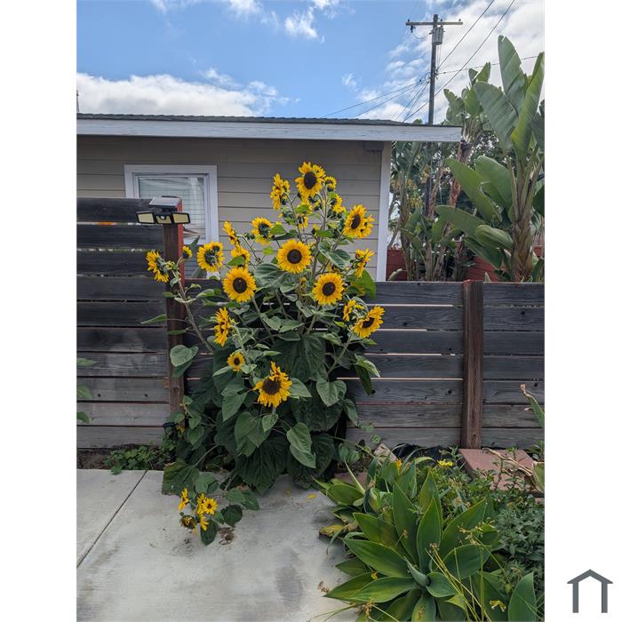 658 W Sepulveda St