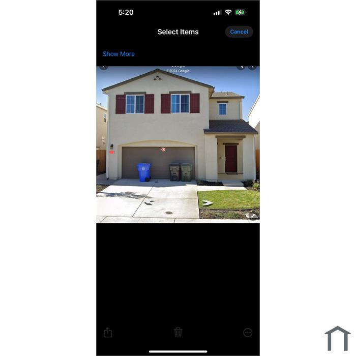 1349 Primitivo Ln