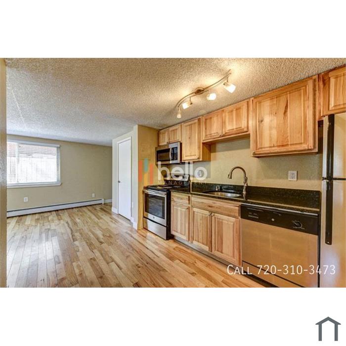 Spacious 1-Bedroom Apartment in Speer / Capitol Hill | 253 N Grant St #202 â€“ Denver, CO