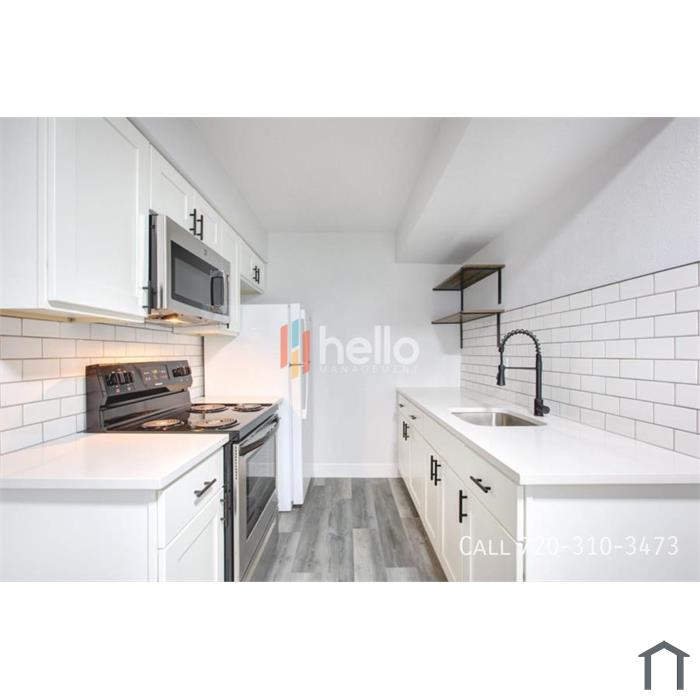 1974 S University Blvd #3 â€“ Renovated 1 Bed/1 Bath Across from DU + Move-In Special!
