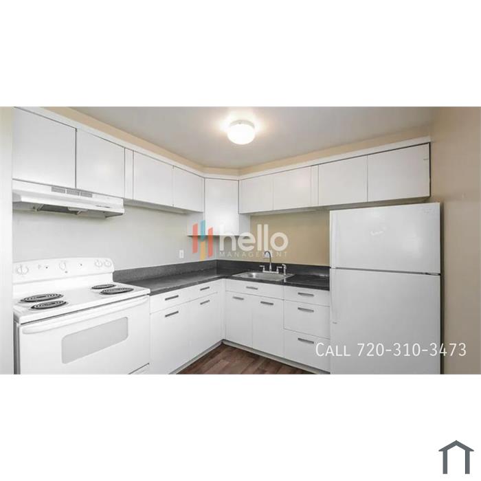 Updated, Affordable 1-Bedroom in Prime Lakewood Location + 2 Weeks FREE | 1675 N Upham St