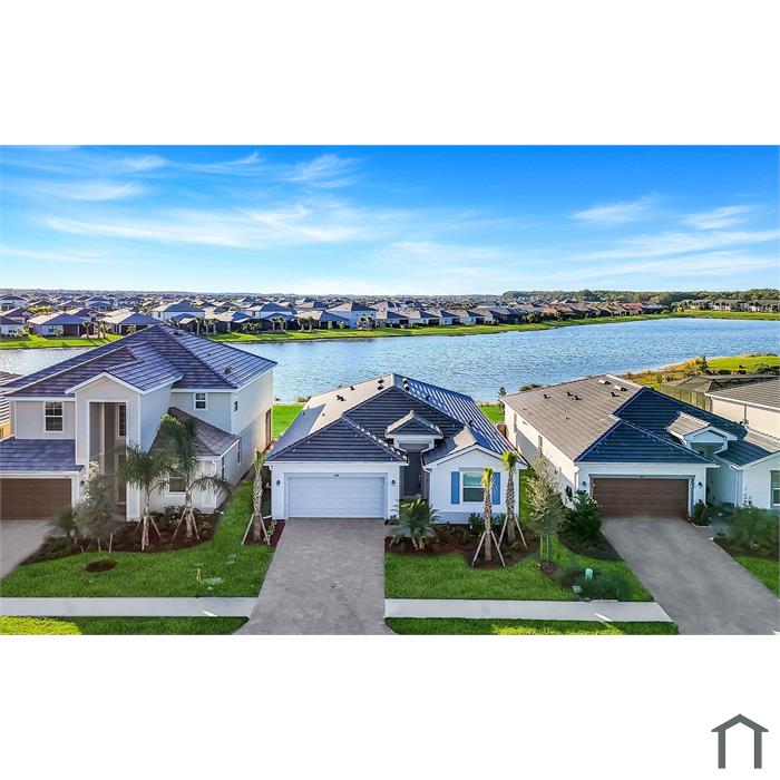 3928 Sweet Alyssum Ter