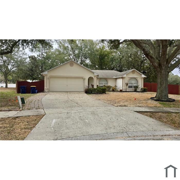 204 Lace Bark Ct