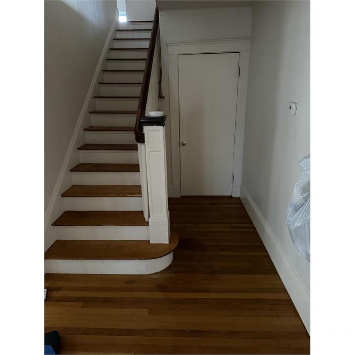 50 Hutchings St