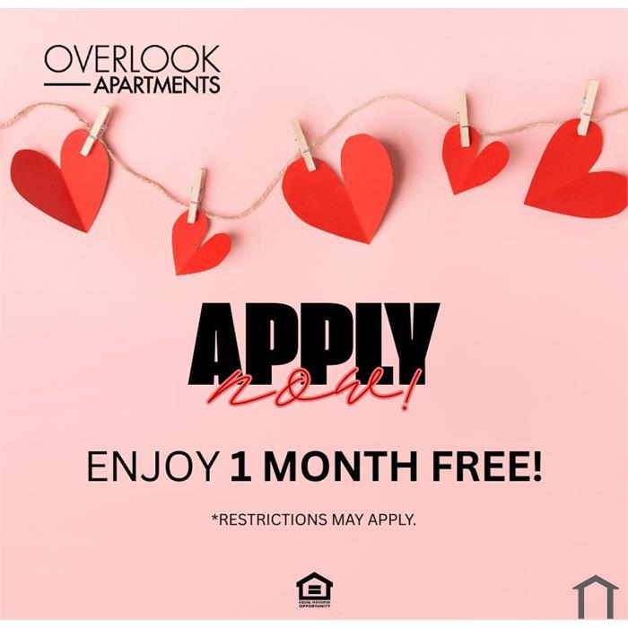 Overlook Apartments