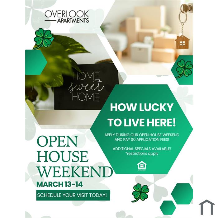 Overlook Apartments