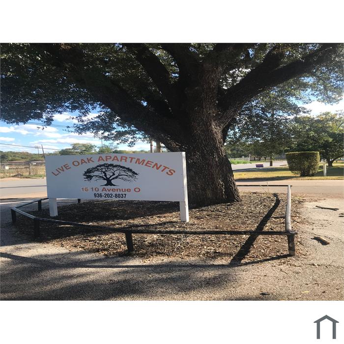 Live Oak